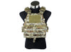 TMC - EG Assault Plate Carrier (MAD)