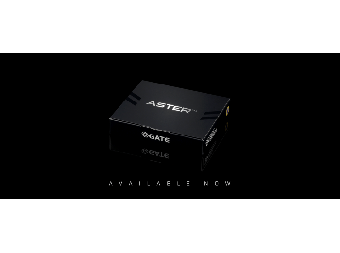 GATE ASTER V2 Basic Module (Front Wired) | Bunny Workshop GATE ASTER V2 Basic Module (Front Wired) | Bunny Workshop